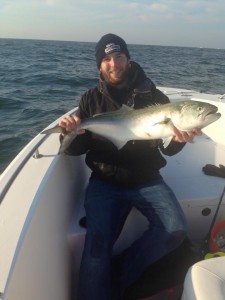 bluefish, nick chieffo, delaware, sussex county