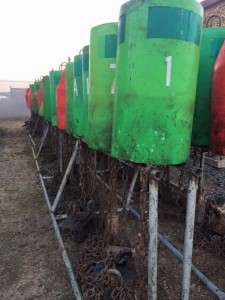 buoys, inland bays, USCG indian river station, delaware, sussex county