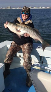 wildwood, new jersey, striped bass, rockfish, linesider, trolling stretches, trolling mojos