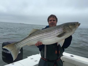striped bass, overfalls, delaware bay, rockfish, lewes, joe walker, dave walker