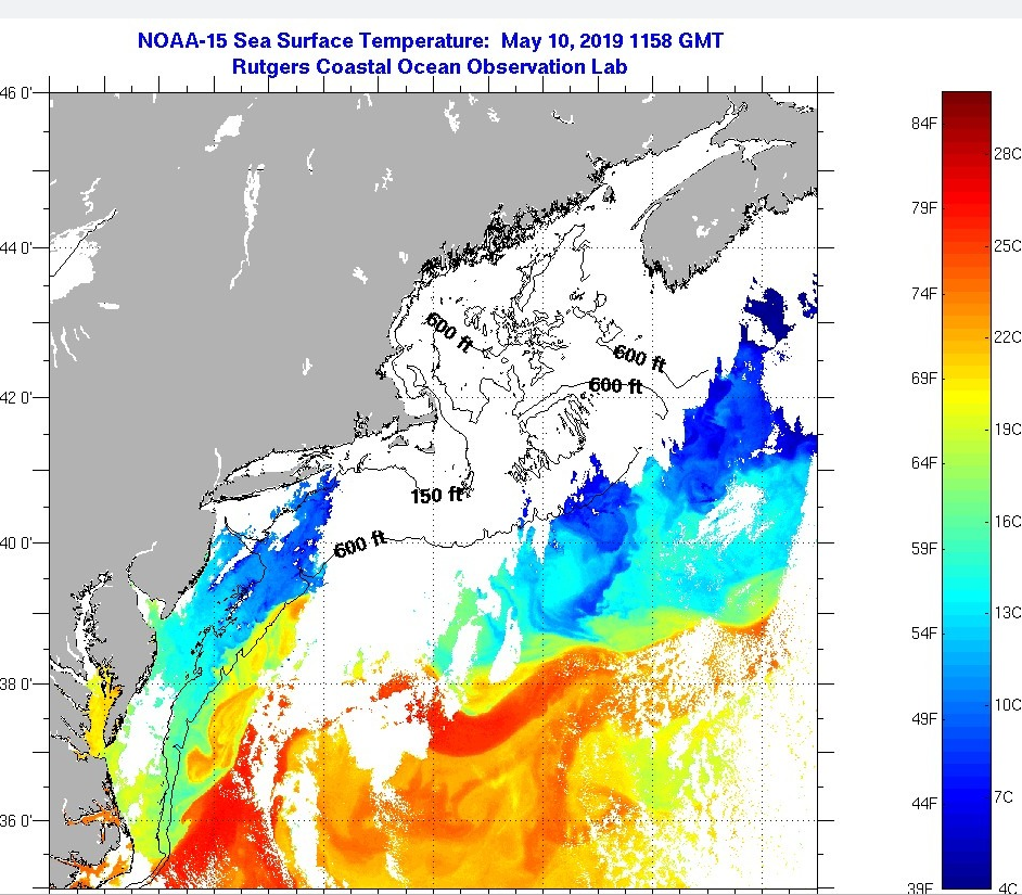 Sea surface temps for the northeast from Rutgers University delaware