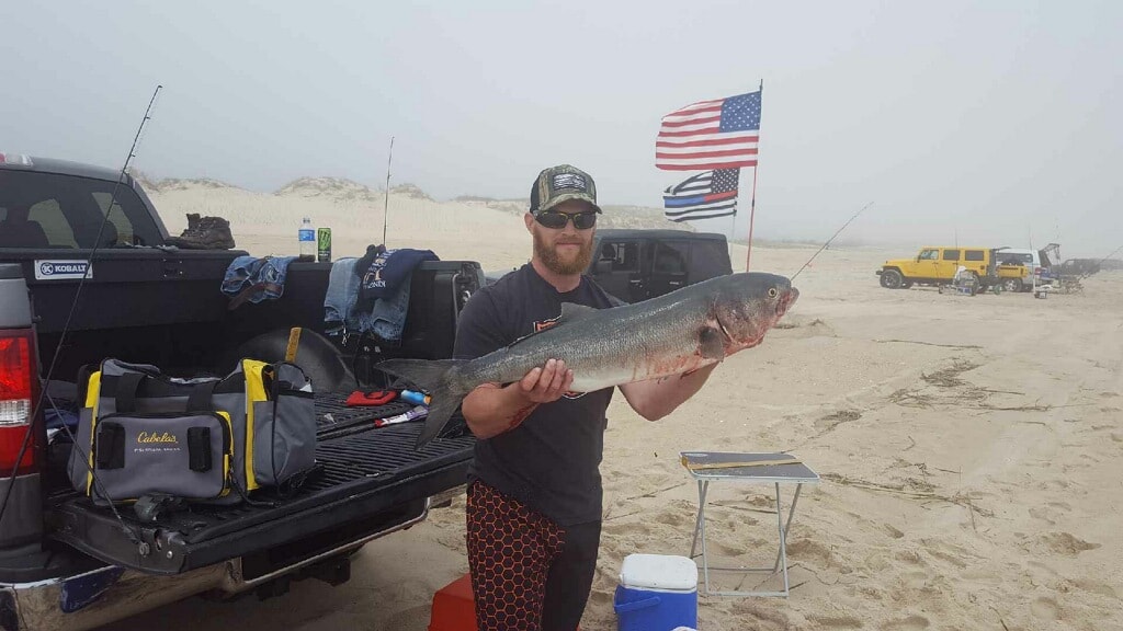 biggest bluefish ever caught